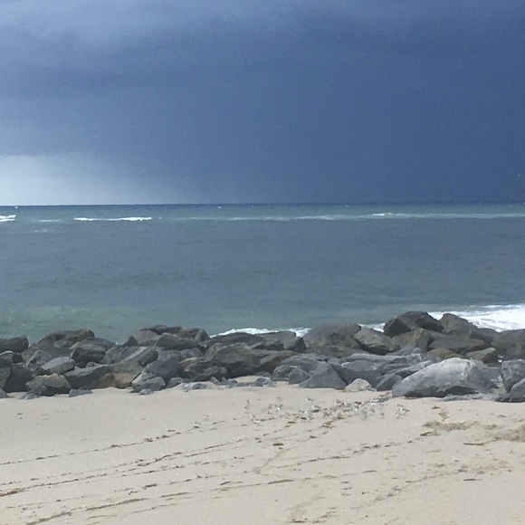 Meet your Posher, Lisa - Picture 1 of 1